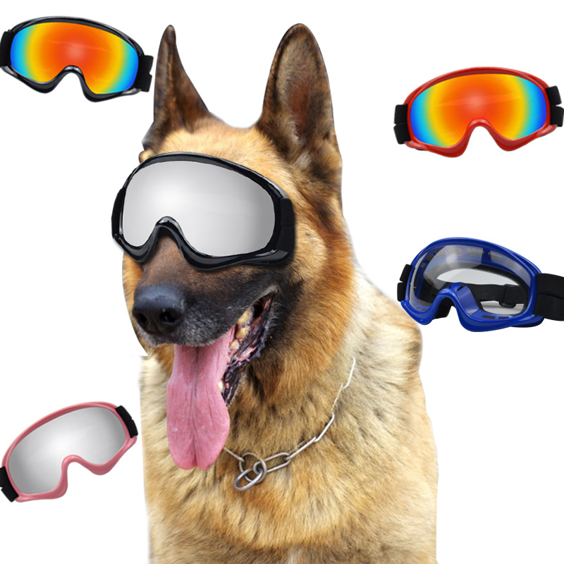 Snow Goggle Uv - Produtos para Animais de Estimação, Óculos