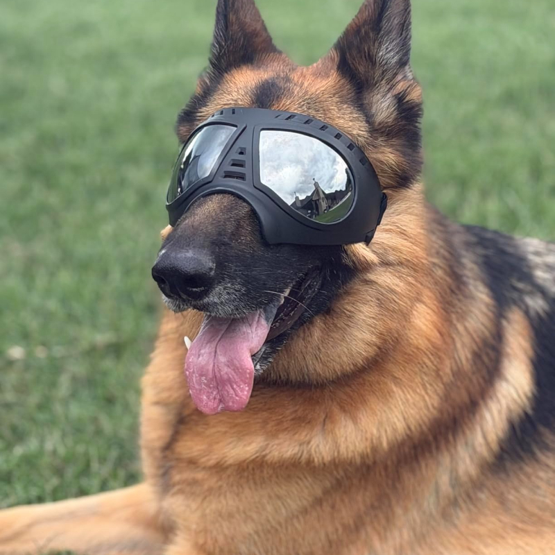 Snow Goggle Uv - Óculos para Animais de Estimação para