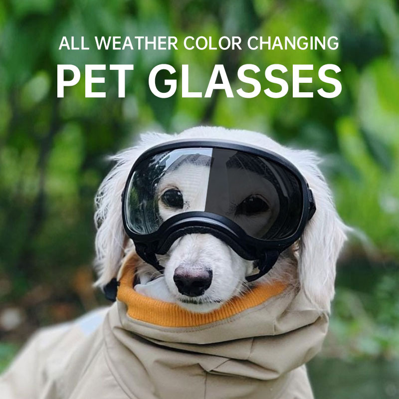 Snow Goggle Uv - Óculos para animais de estimação que