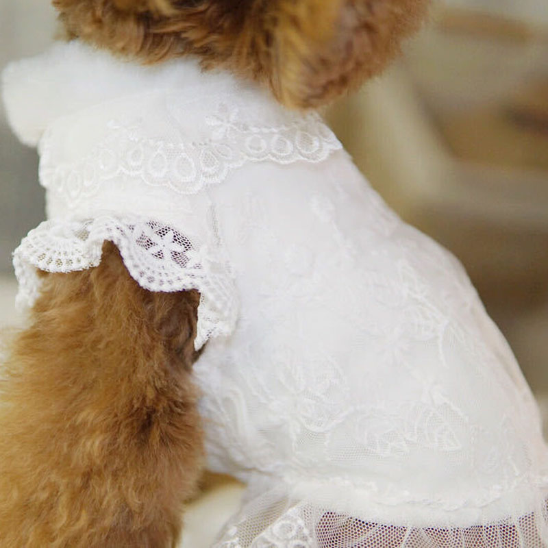 Roupa de Inverno para Cães Bra - Winter Clothing Kids avaliação e preço