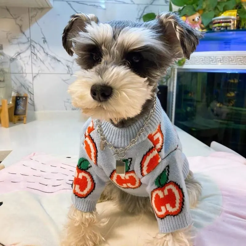Carta camisola roupas para cãe - Winter Clothing Kids avaliação e preço