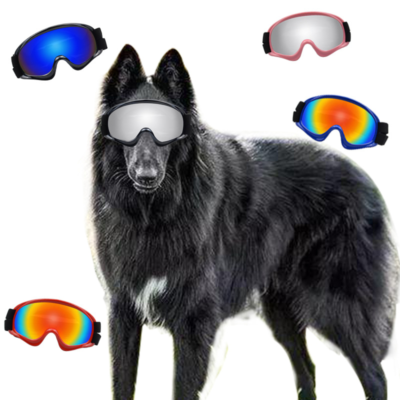 Produtos para Animais de Estim - Snow Goggle Uv avaliação e preço