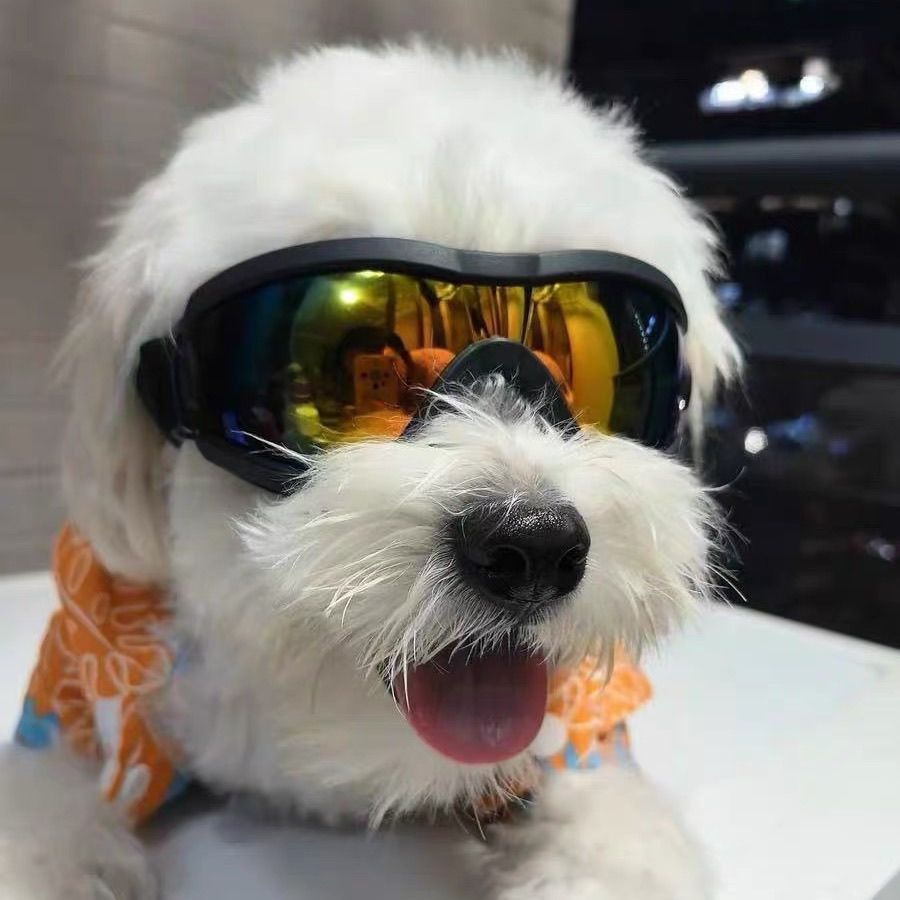 Óculos de Sol Ajustáveis em TP - Snow Goggle Uv avaliação e preço