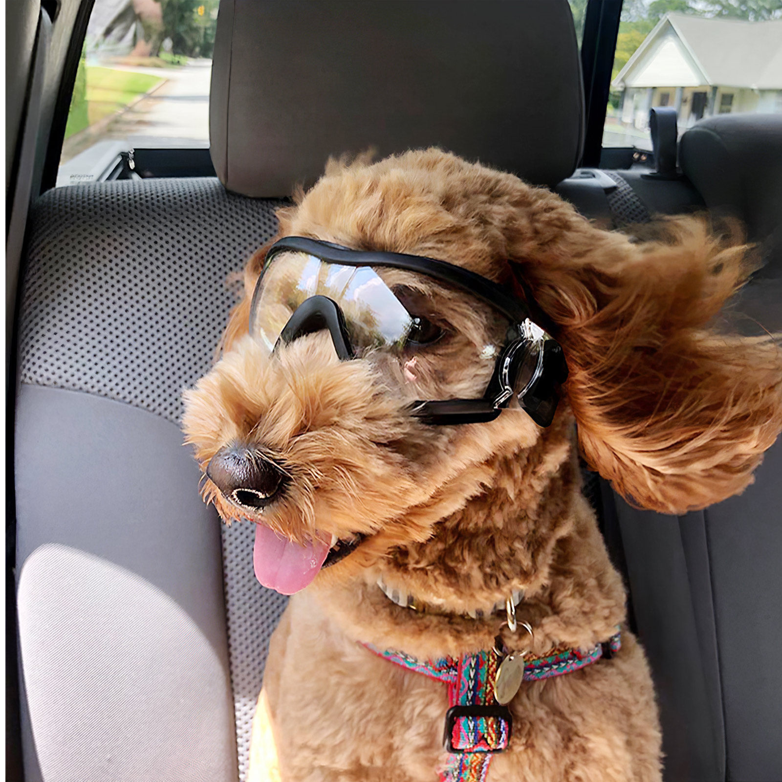 Óculos de Proteção para Cães,  - Snow Goggle Uv avaliação e preço